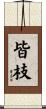 皆枝 Scroll