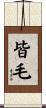 皆毛 Scroll