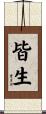 皆生 Scroll