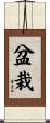 盆栽 Scroll