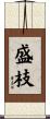 盛枝 Scroll