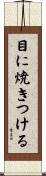 目に焼きつける Scroll