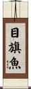 目旗魚 Scroll