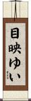 目映ゆい Scroll