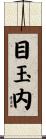 目玉内 Scroll