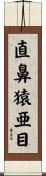 直鼻猿亜目 Scroll