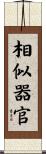 相似器官 Scroll