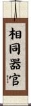 相同器官 Scroll