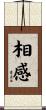 相感 Scroll