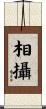 相攝 Scroll