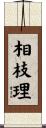 相枝理 Scroll