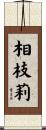 相枝莉 Scroll