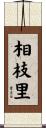 相枝里 Scroll