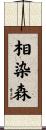 相染森 Scroll