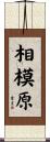 相模原 Scroll
