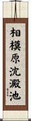 相模原沈澱池 Scroll
