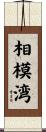 相模湾 Scroll
