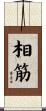 相筋 Scroll