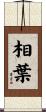 相葉 Scroll