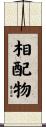 相配物 Scroll