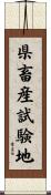 県畜産試験地 Scroll