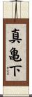 真亀下 Scroll