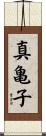 真亀子 Scroll