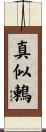 真似鶫 Scroll