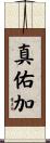 真佑加 Scroll