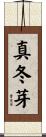 真冬芽 Scroll