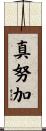 真努加 Scroll