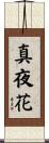 真夜花 Scroll