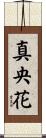 真央花 Scroll