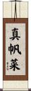真帆菜 Scroll
