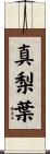 真梨葉 Scroll