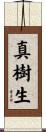 真樹生 Scroll