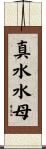 真水水母 Scroll