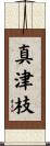 真津枝 Scroll