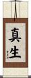 真生 Scroll