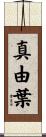 真由葉 Scroll