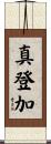 真登加 Scroll