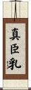 真臣乳 Scroll