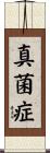 真菌症 Scroll