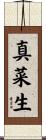真菜生 Scroll