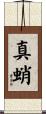 真蛸 Scroll