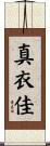 真衣佳 Scroll