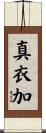 真衣加 Scroll