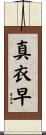 真衣早 Scroll