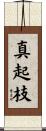 真起枝 Scroll