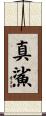 真鯊 Scroll